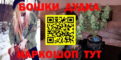 сатива Ачхой-Мартан